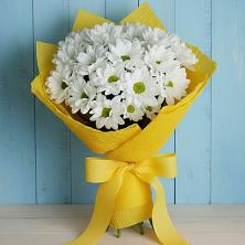 Букет цветов из:  Хризантемы в Сагопши