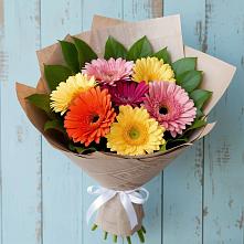 Букет цветов из:  Герберы #REPLACE_PRED# Сагопши