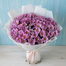 Букет цветов из:  Хризантемы в Сагопши
