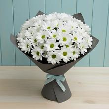 Букет цветов из:  Хризантемы в Сагопши