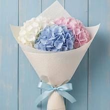 Букет цветов из:  Гортензия в Сагопши