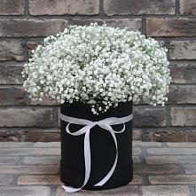 Цветочная композиция из Гипсофила в шляпной коробке #REPLACE_PRED# Сагопши