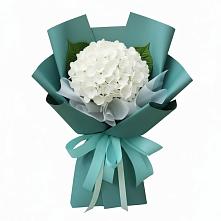 Букет цветов из:  Гортензия в Сагопши